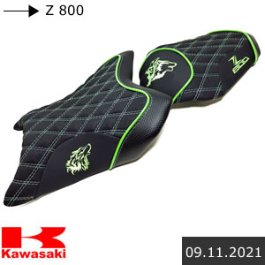 Kawasaki Z 800 Motorradsitzbank