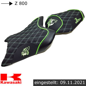Kawasaki Z 800 Neupolsterung
