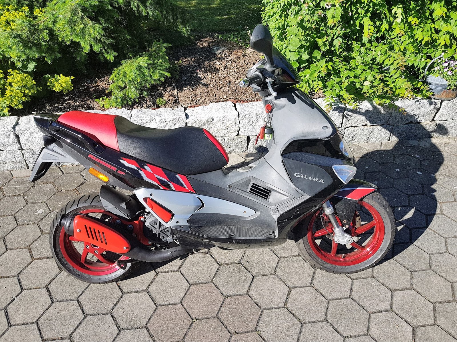 19956266_1449802161732935_6023357167971262211_o