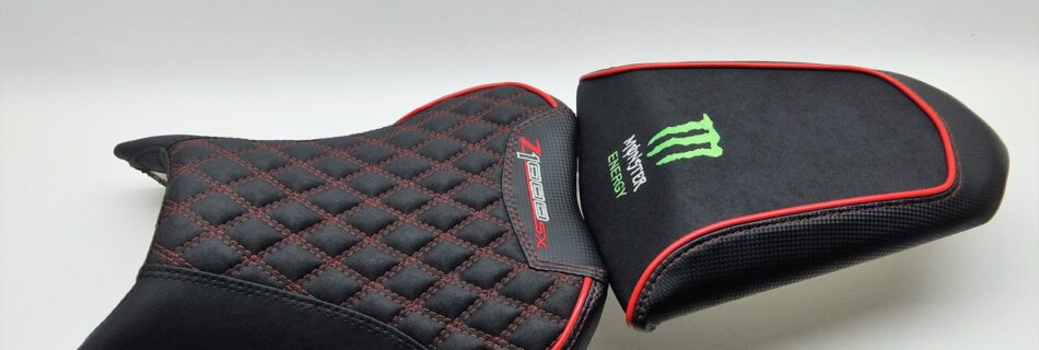 kawasaki-z1000sx-sitzbank-1