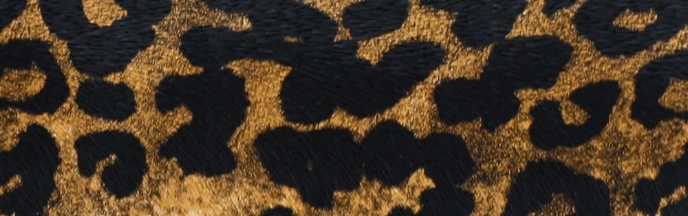 Gepard