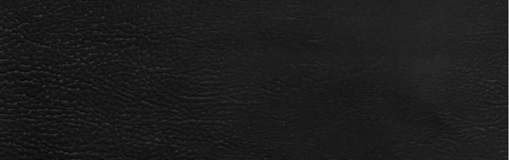 Buffalo Black